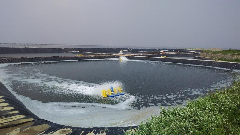 魚塘蝦池養殖防滲膜
